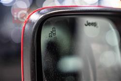 جيب رينيجيد